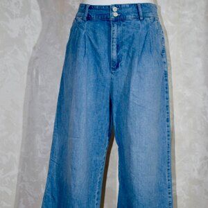 Madewell High Rise Pleated Wide-Leg Crop Denim Jeans Size 12 Light Wash